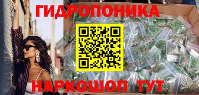 spice Заводоуковск